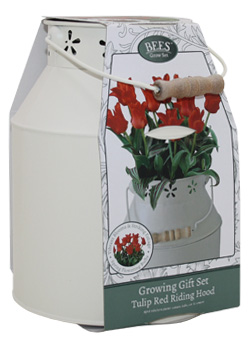 Tulip Milkchurn